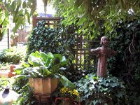 Lunch 1  Garden greenery